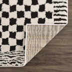Leryn Black & Ivory Checkered Area Rug