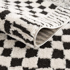 Leryn Black & Ivory Checkered Area Rug