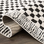 Leryn Black & Ivory Checkered Area Rug