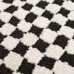 Leryn Black & Ivory Checkered Area Rug