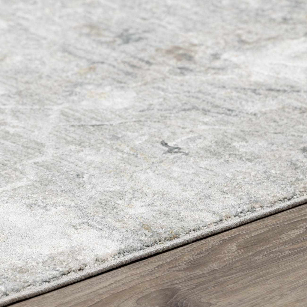 Gilmanton Vintage Neutral Area Rug