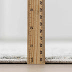 Gilmanton Vintage Neutral Area Rug