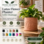 Lotus Flower Pot with Drainage